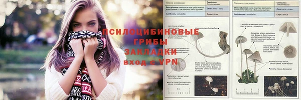 прущие грибы Бугульма