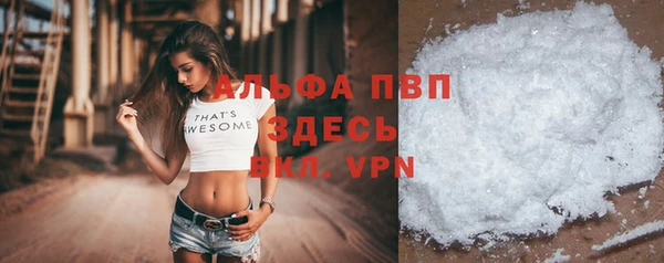 дмт Новозыбков