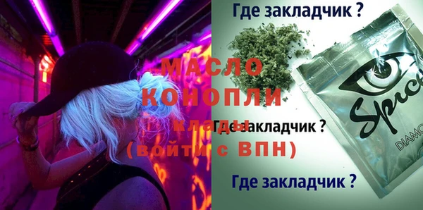 мдпв Верея